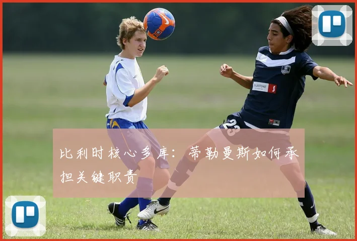 比利时核心多库:蒂勒曼斯如何承担关键职责