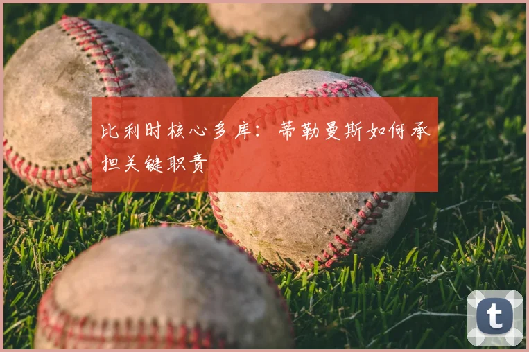 比利时核心多库:蒂勒曼斯如何承担关键职责